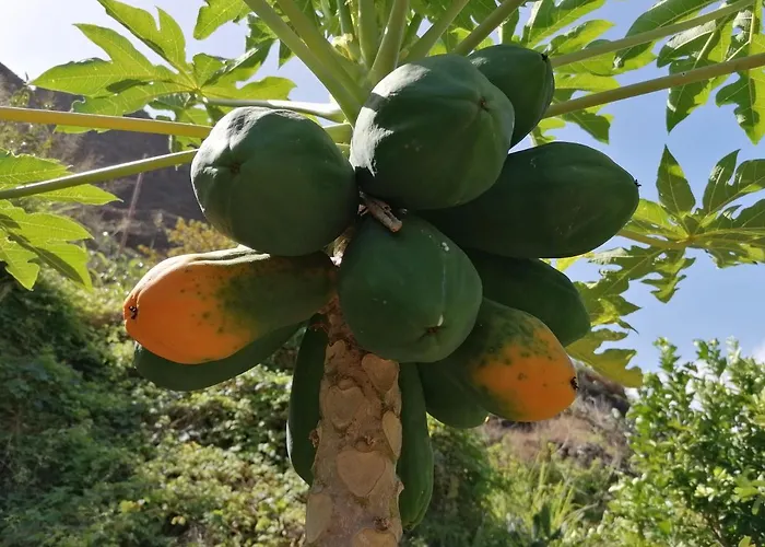 Casa Juana